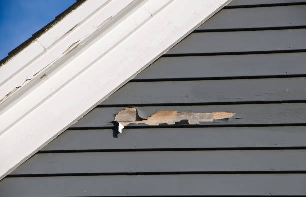 Best Foreclosure Cleanout  in Wauseon, OH